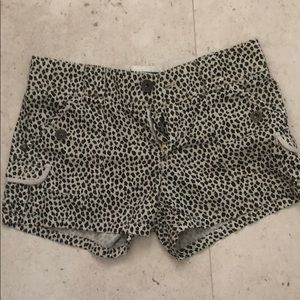 Sanctuary shorts size 27